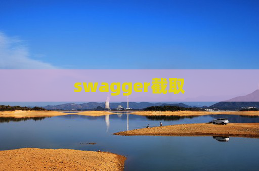 swagger截取
